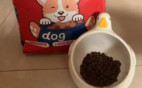 贵范儿狗粮怎么样