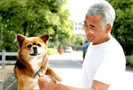 老人家里养狗可以吗