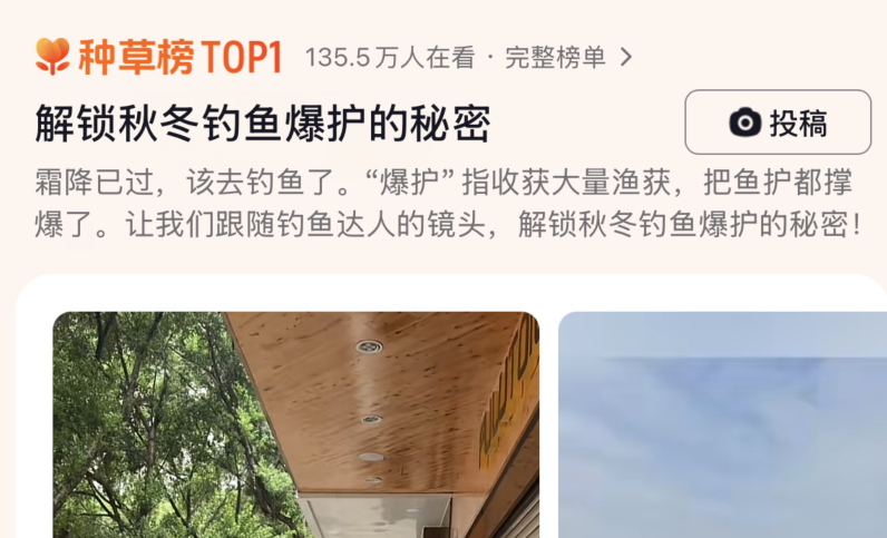 解锁秋冬钓鱼爆护的秘密，网友：下次请带我爸去