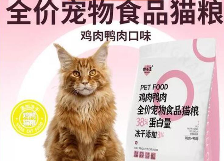 馋小汪猫粮好不好