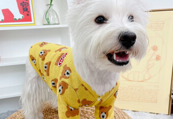 缘星球宠物衣服质量如何