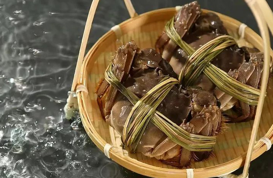 蟹公馆：如何充分利用水体资源来创造大闸蟹养殖环境
