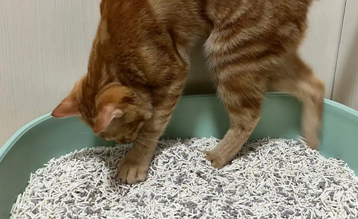 猫殿下猫砂好用吗