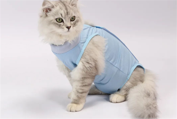 缘星球宠物服饰什么档次 缘星球宠物服饰什么档次