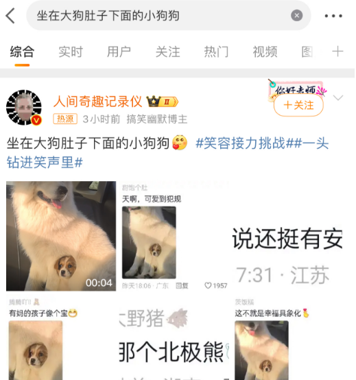 坐在大狗肚子下面的小狗狗，也太太太可爱了叭