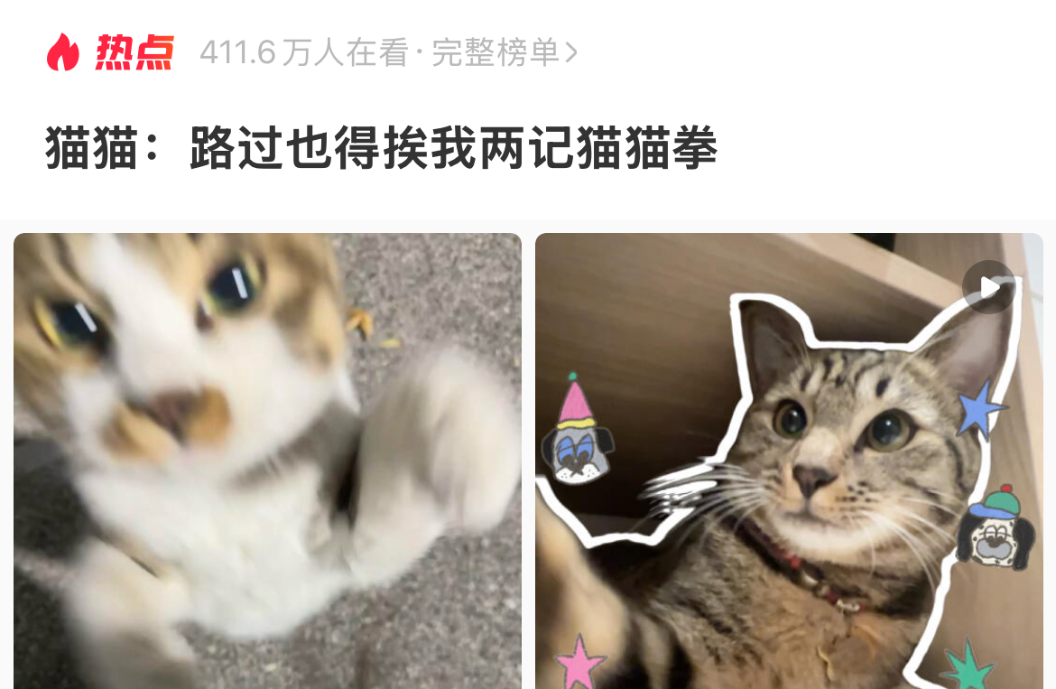 猫猫：路过也得挨我两记猫猫拳！