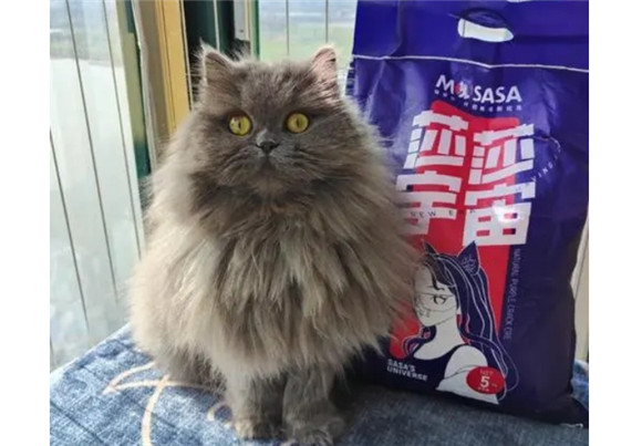 猫莎莎猫砂怎么样