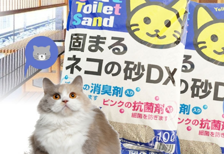 莎美特猫砂怎么样