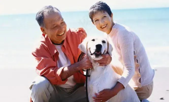 老人把狗卖了怎么办 老人把狗卖了怎么办
