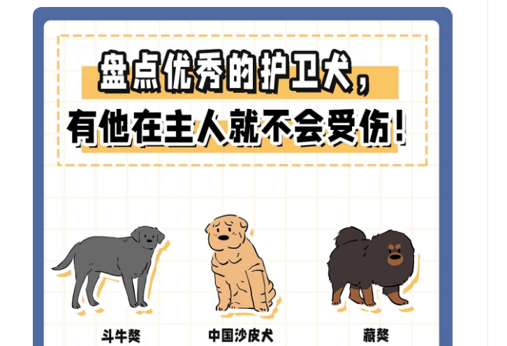 盘点优秀护卫犬，有他在主人就很安全❗️