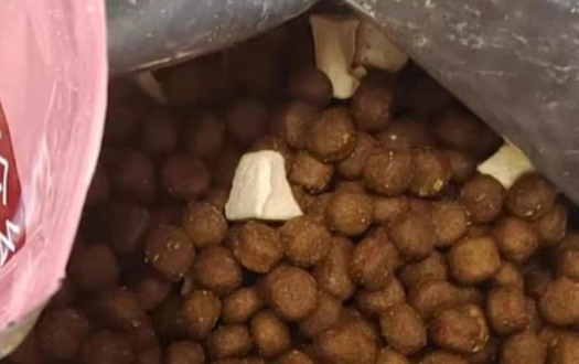 宠迪乐狗粮质量怎么样 宠迪乐狗粮质量怎么样