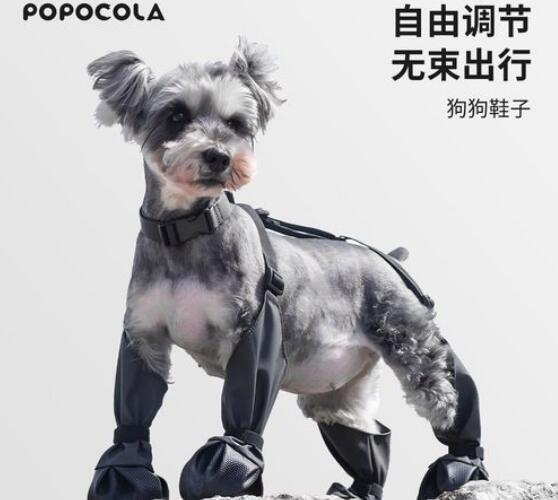 popocola是哪里的品牌 popocola是哪里的品牌