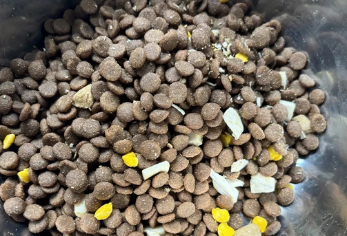 顾悦狗粮怎么样 顾悦狗粮怎么样