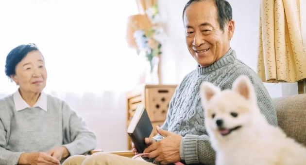 老人养狗从不护食