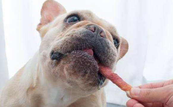 风宠零食好吃吗