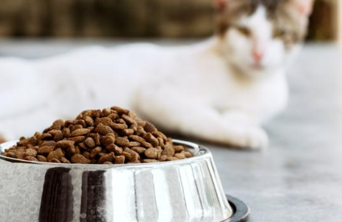 纯华猫粮是国产还是进口 纯华猫粮是国产还是进口
