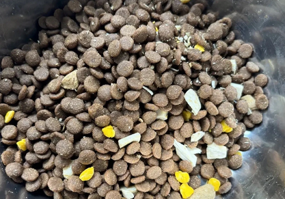 自然观狗粮是牌子吗