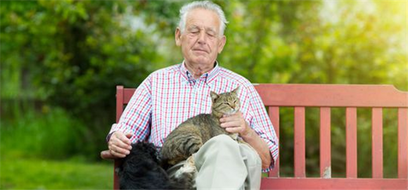 老人养猫的好处有哪些方面 老人养猫的好处有哪些方面