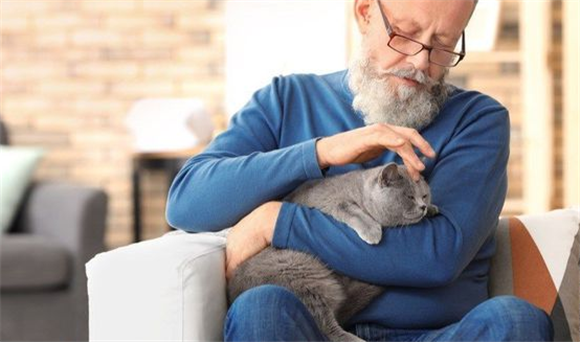 老人养猫前后的样子