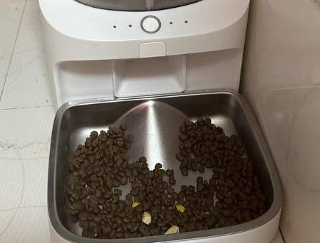 小甜橙喂食器好用吗 小甜橙喂食器好用吗