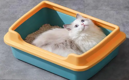 猫砂盆