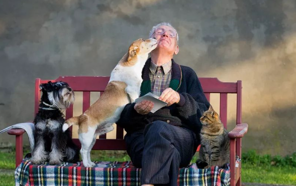 老人养猫还是养狗好 老人养猫还是养狗好