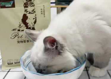 澳诺滋猫零食好不好