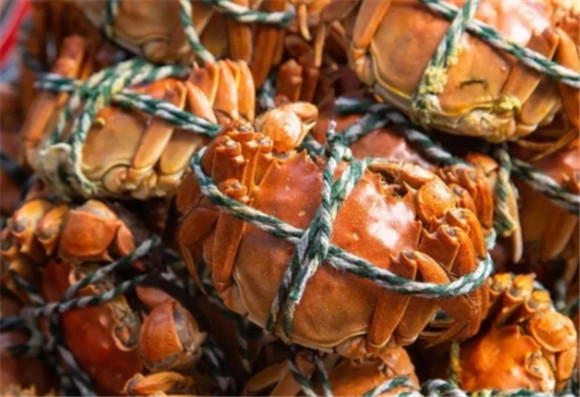 蟹料理：蟹粉豆腐怎么做？