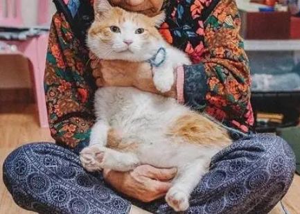 老人养猫能报恩吗