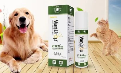 派维万金滴喷雾怎么用 派维万金滴喷雾怎么用
