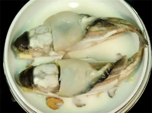 清蒸河豚多少钱一份