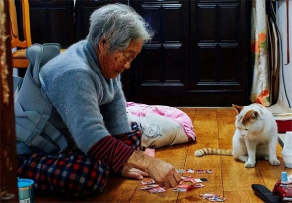 老年人养猫会被咬吗 老年人养猫会被咬吗
