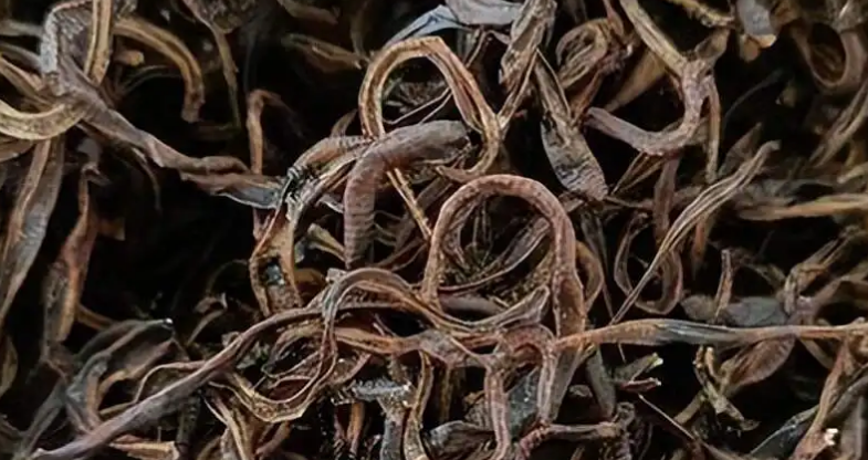 长期大量收购蚯蚓干的地址