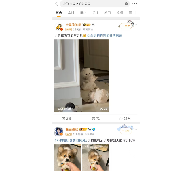 深情?小狗在吸它的阿贝贝 深情?小狗在吸它的阿贝贝