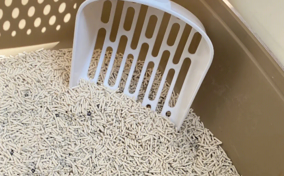 魔粒猫砂在哪买