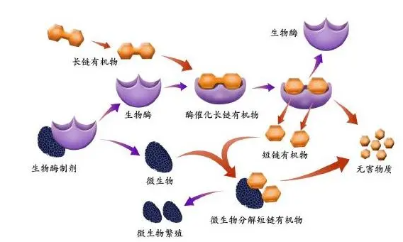 同为除味除臭，宠物除臭剂有何特殊之处？