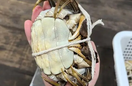 红膏母蟹一斤多少钱 红膏母蟹一斤多少钱
