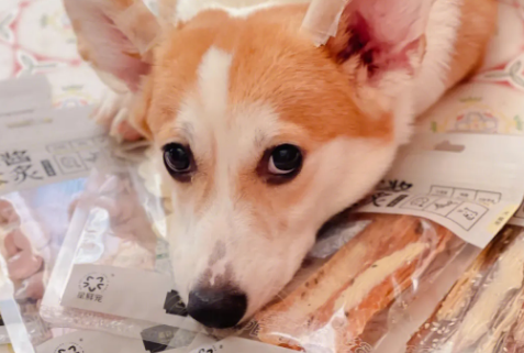 风宠零食怎么样 风宠零食怎么样