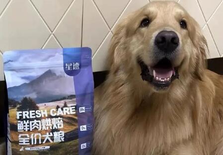 星速狗粮和豆柴狗粮哪个更好 星速狗粮和豆柴狗粮哪个更好