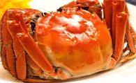 蟹公馆大闸蟹的营养需要及养殖饲料-1