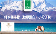 牦牛骨小分子肽的功效