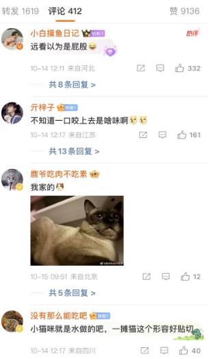 小猫表情包走红网络，萌化众人心