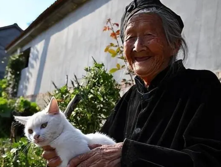 老人养猫有什么好处呢