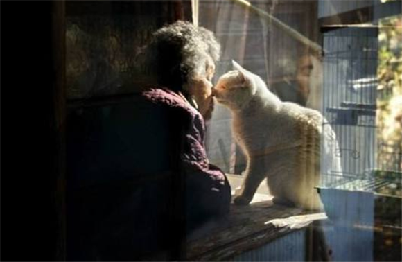 老人家说养猫不吉利是真的吗