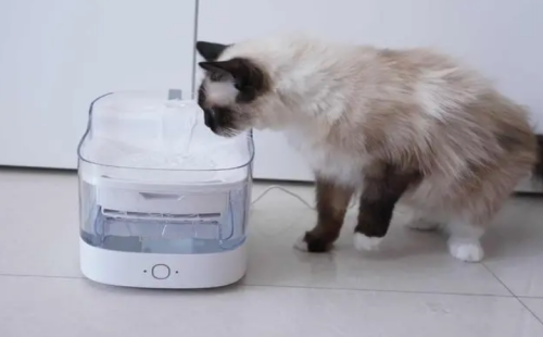 宠物饮水机