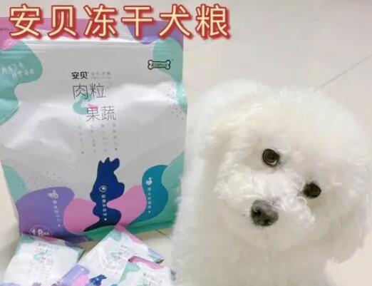 安贝狗粮是哪里生产的 安贝狗粮是哪里生产的