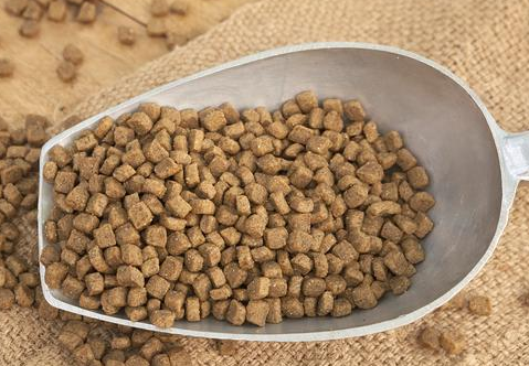 王子的零食猫粮属于什么档次 王子的零食猫粮属于什么档次