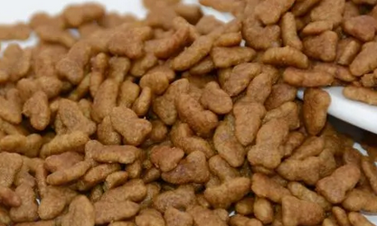朴食有道猫粮是哪里的 朴食有道猫粮是哪里的