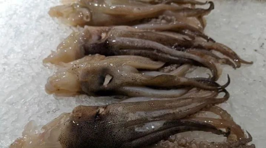 冰冻鱿鱼怎么炒好吃又嫩