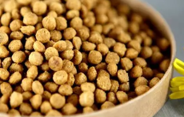 洛菲可猫粮在什么档次 洛菲可猫粮在什么档次